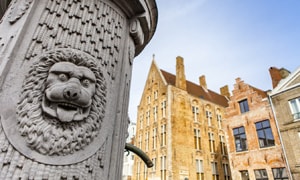 Beestig brugge, gids tour