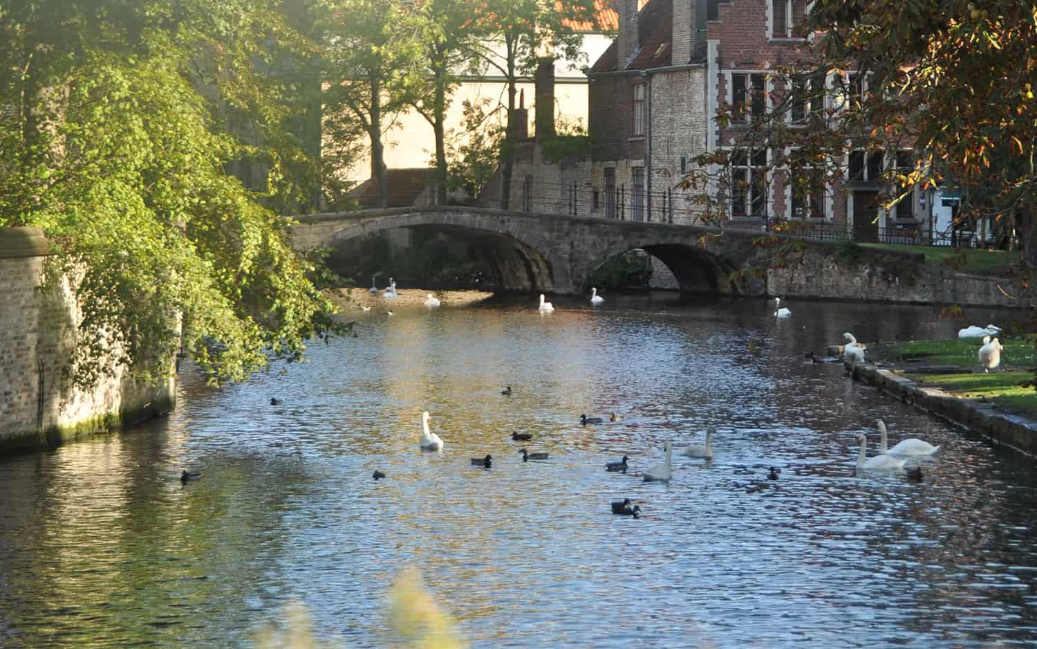 Wandeling met gids door Brugge in combinatie met kookworkshop